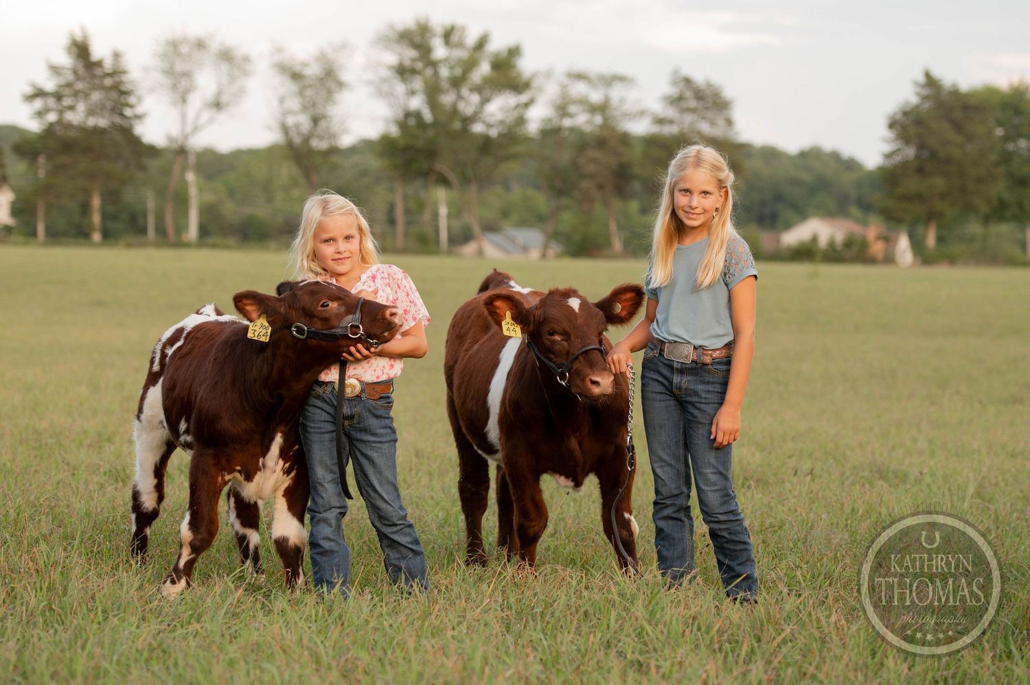 Young people pose with two spotted calves in a green pasture.