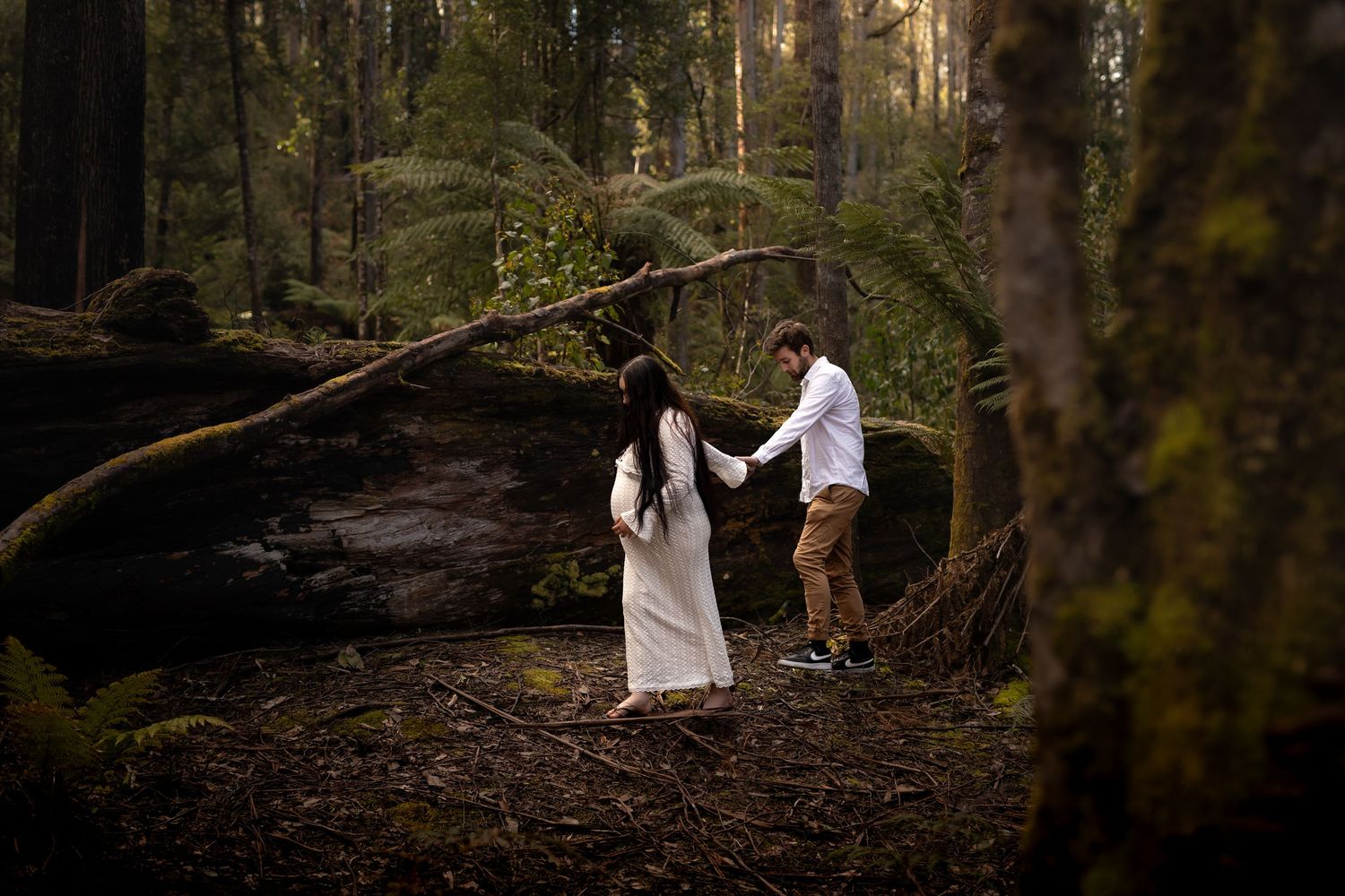 Forest & Lace