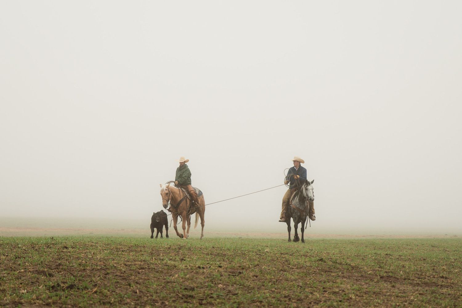 Horseback riders herding cattle across dusty plain beneath blue sky.