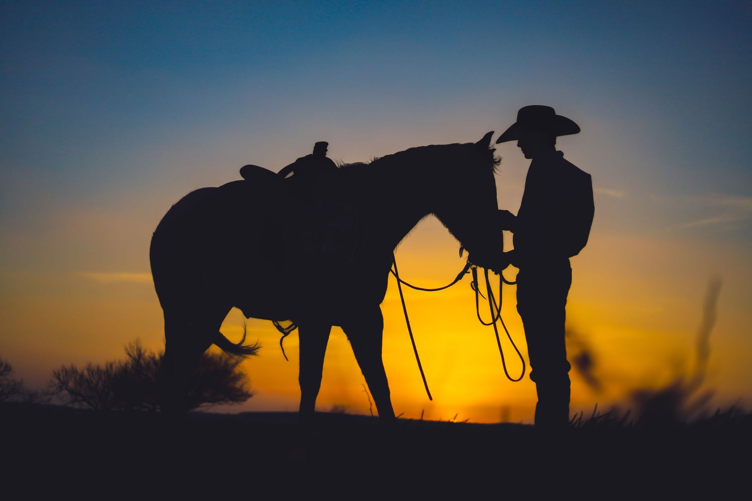 Silhouette of cowboy standing with horse against vibrant sunset sky.