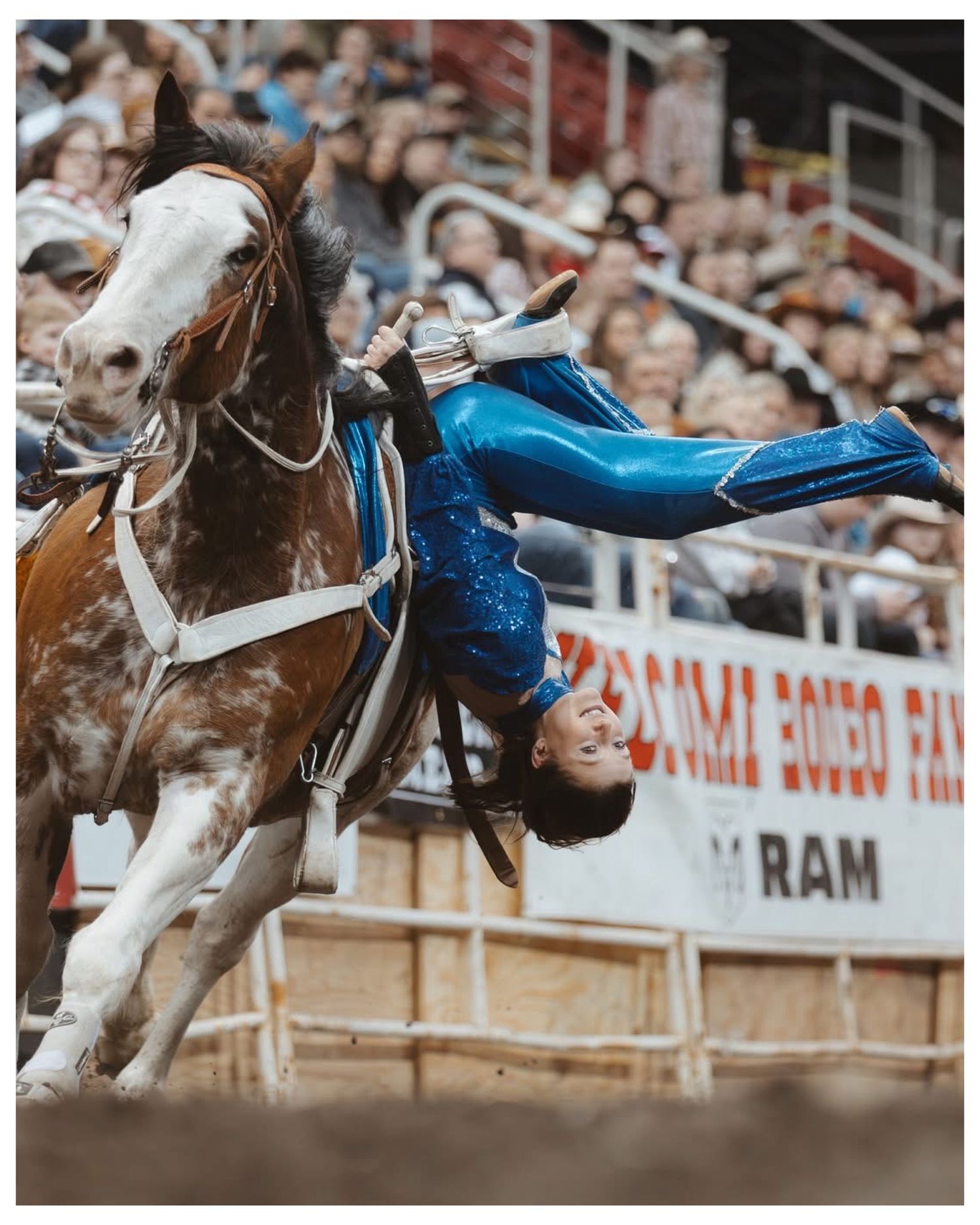 Dramatic rodeo trick riding performance with horse and rider in blue costume.