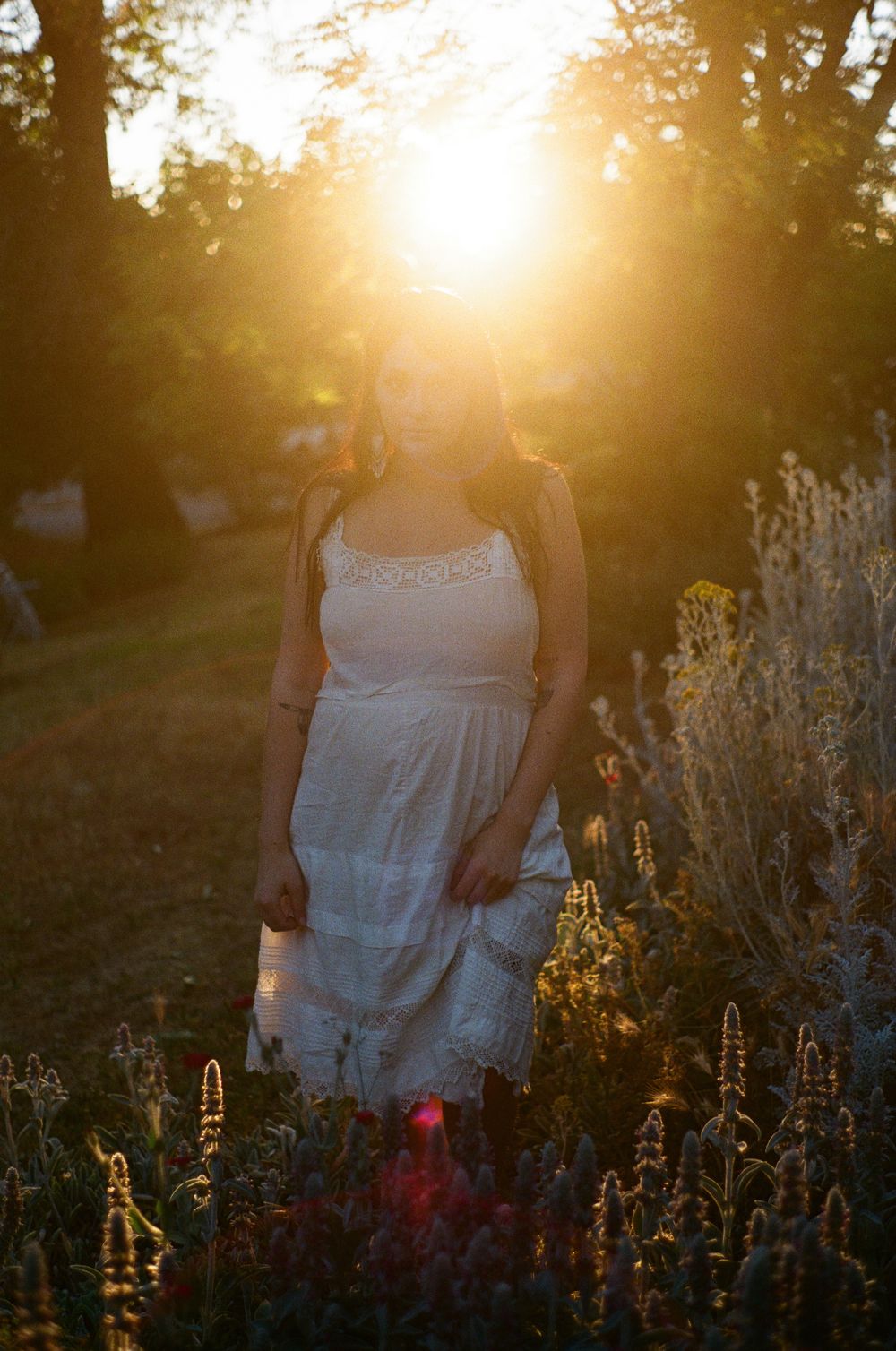 A person in a white dress stands amid wild plants during golden hour sunset.