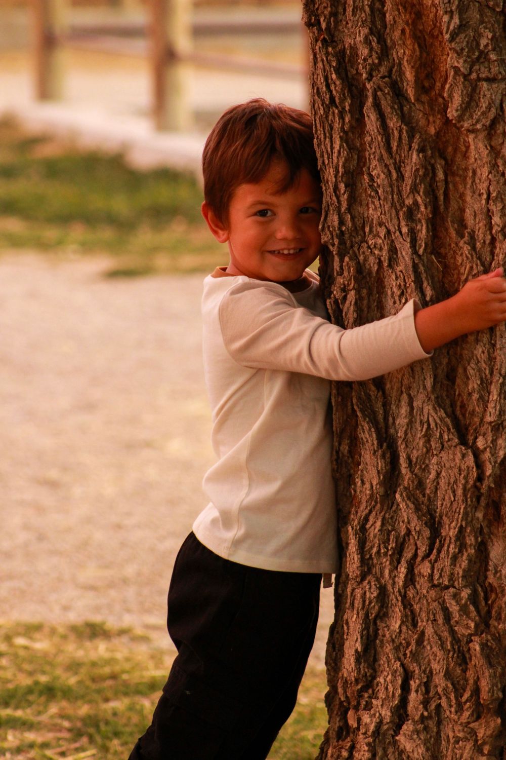 Child in white shirt poses playfully against large tree trunk in warm lighting.