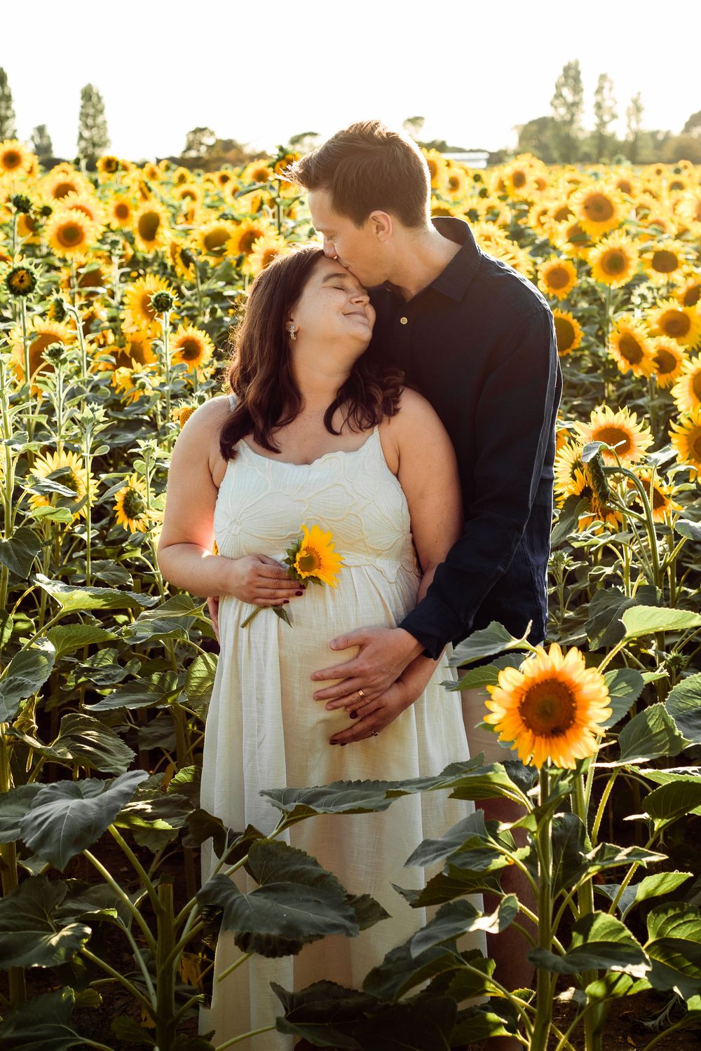 In a sunflower field on Hayling Island, Hampshire, couple touch foreheads in the flowers at sunset during Maternity photo session.