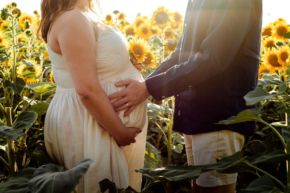 In a sunflower field on Hayling Island at sunset, an expecting couple stand between the flowers holding their baby bump.