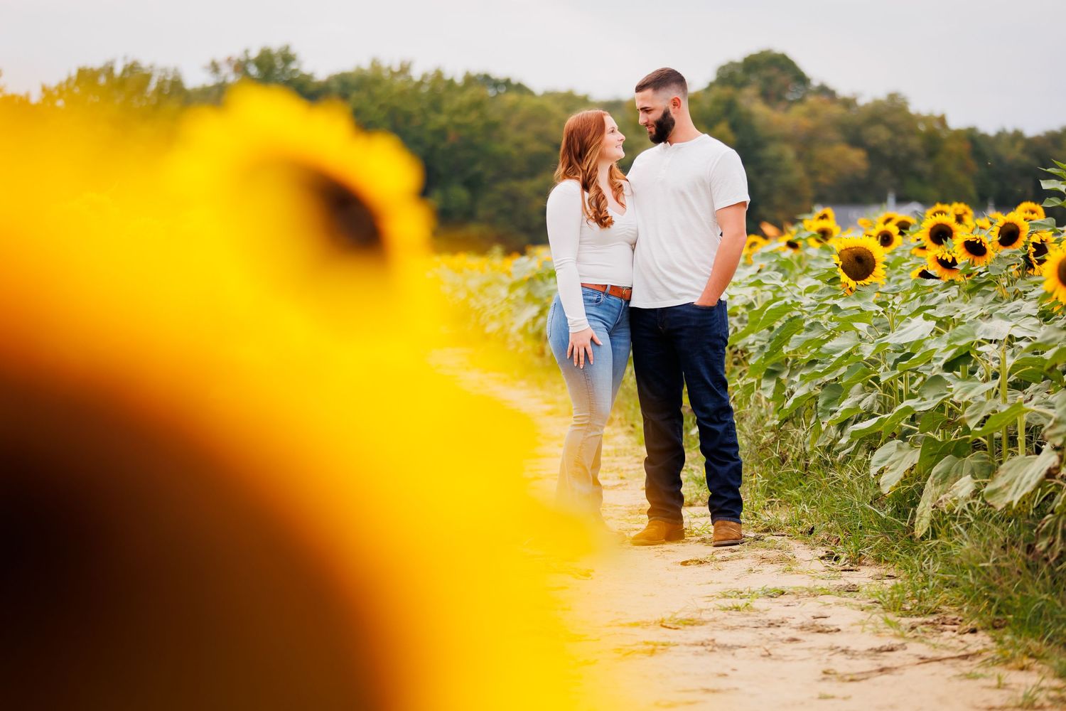 Couple standing together in a sunflower field, sharing a romantic moment on a dirt path surrounded by bright yellow blooms.