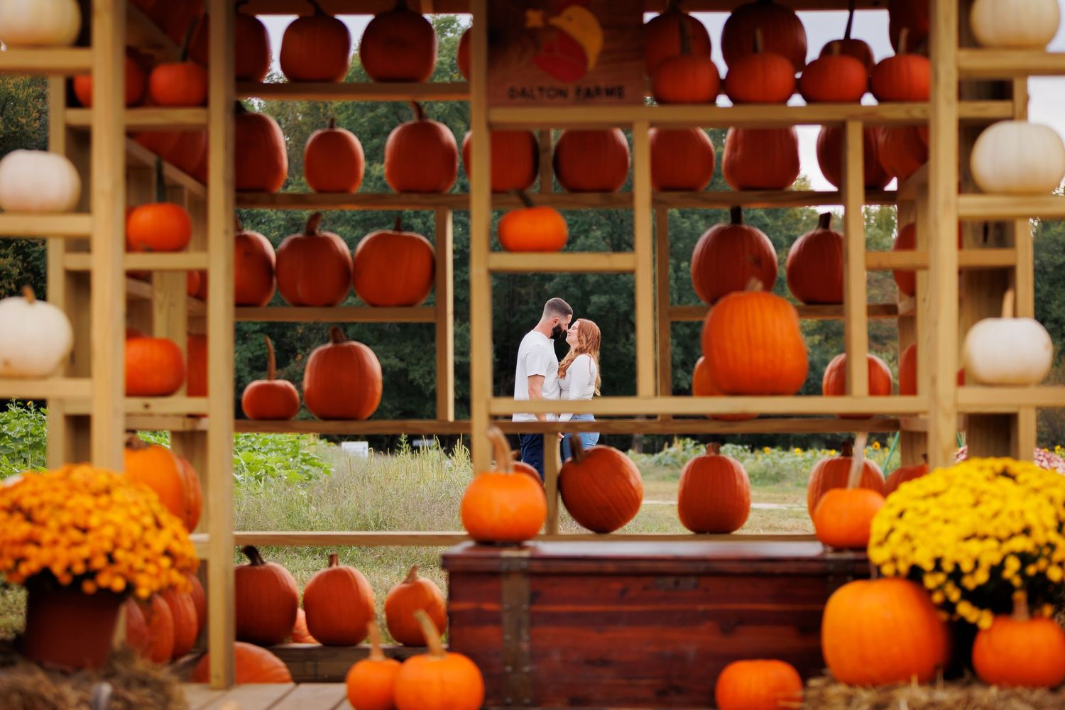 Couple kissing among colorful orange and white pumpkins at a festive fall pumpkin patch display.