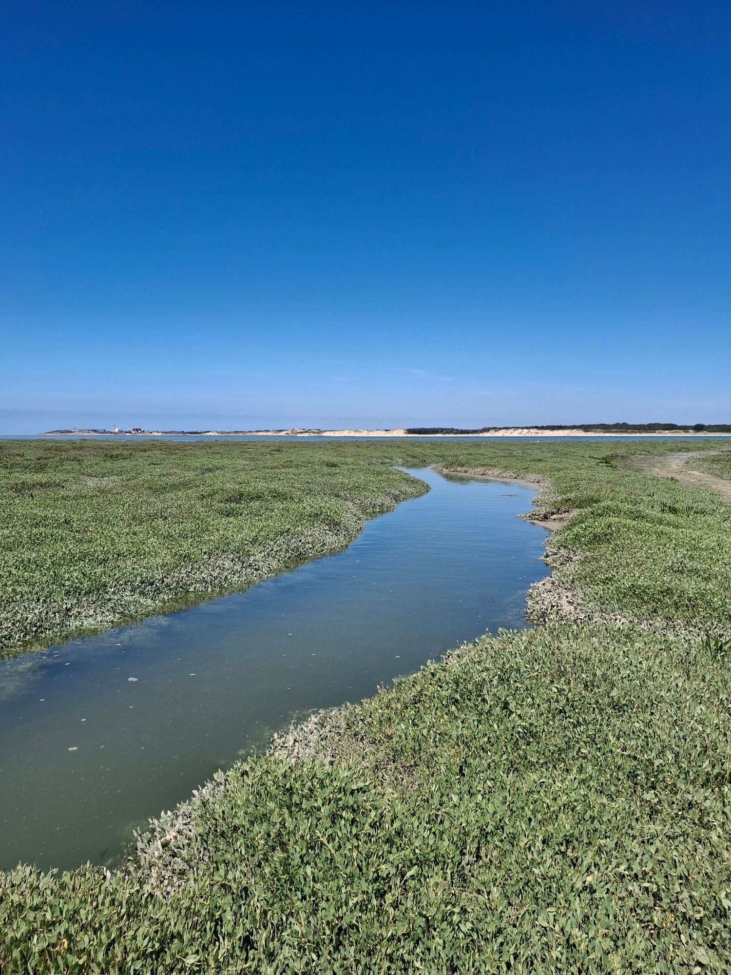 Rieux de la Baie d'Authie