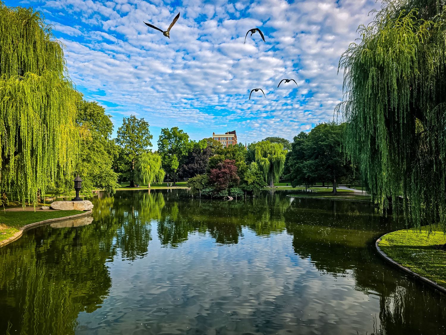 Scenic panoramic view of a tranquil pond with weeping willow trees reflecting in calm water under cloudy skies.