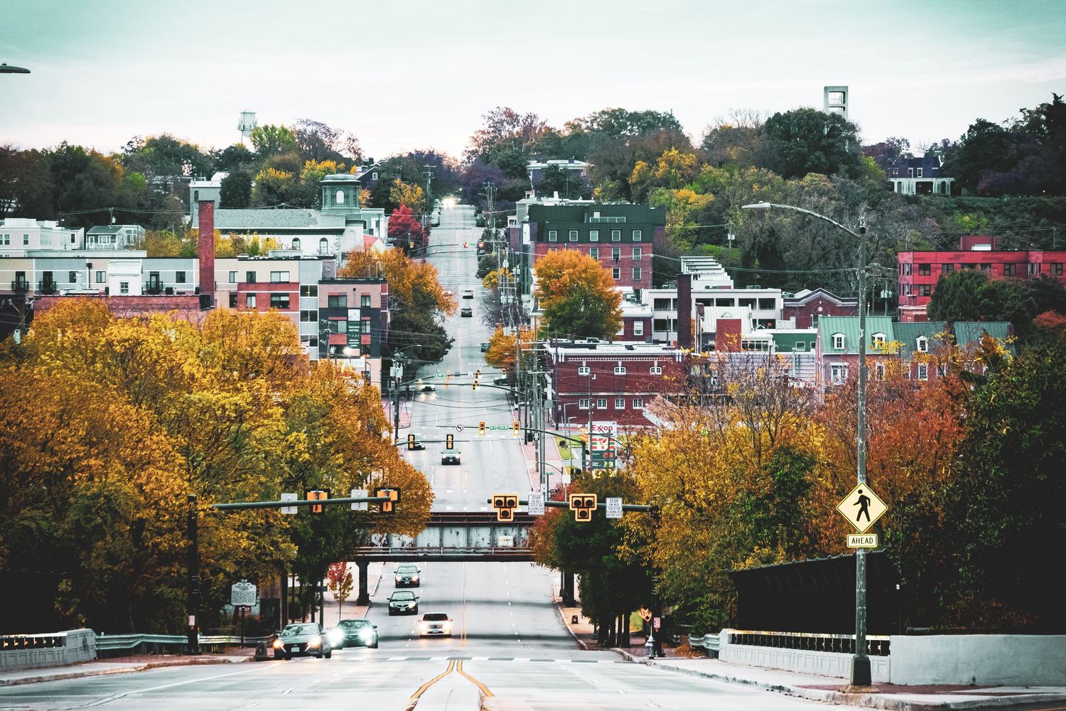 A panoramic view of a small town street lined with autumn trees and buildings on a cloudy day.