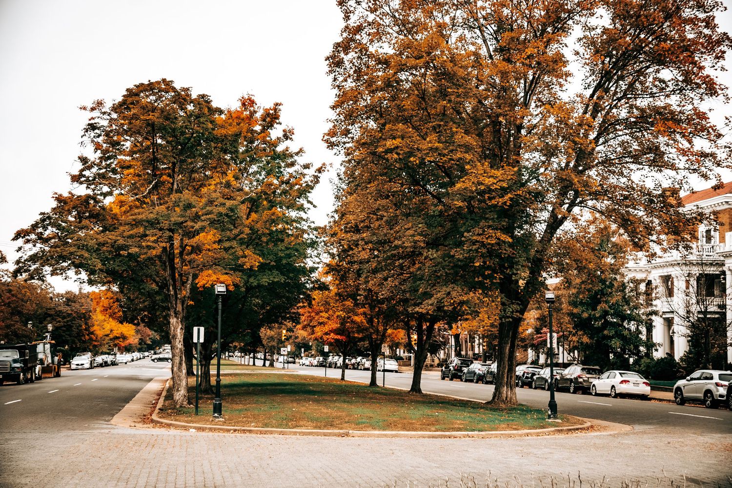 A panoramic view of a tree-lined suburban street in autumn with orange and yellow foliage.