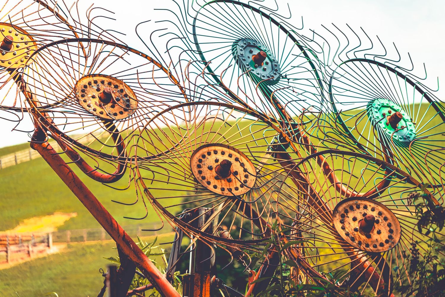 Decorative metal butterfly sculptures with colorful glass accents mounted on branches against a sunny outdoor background.
