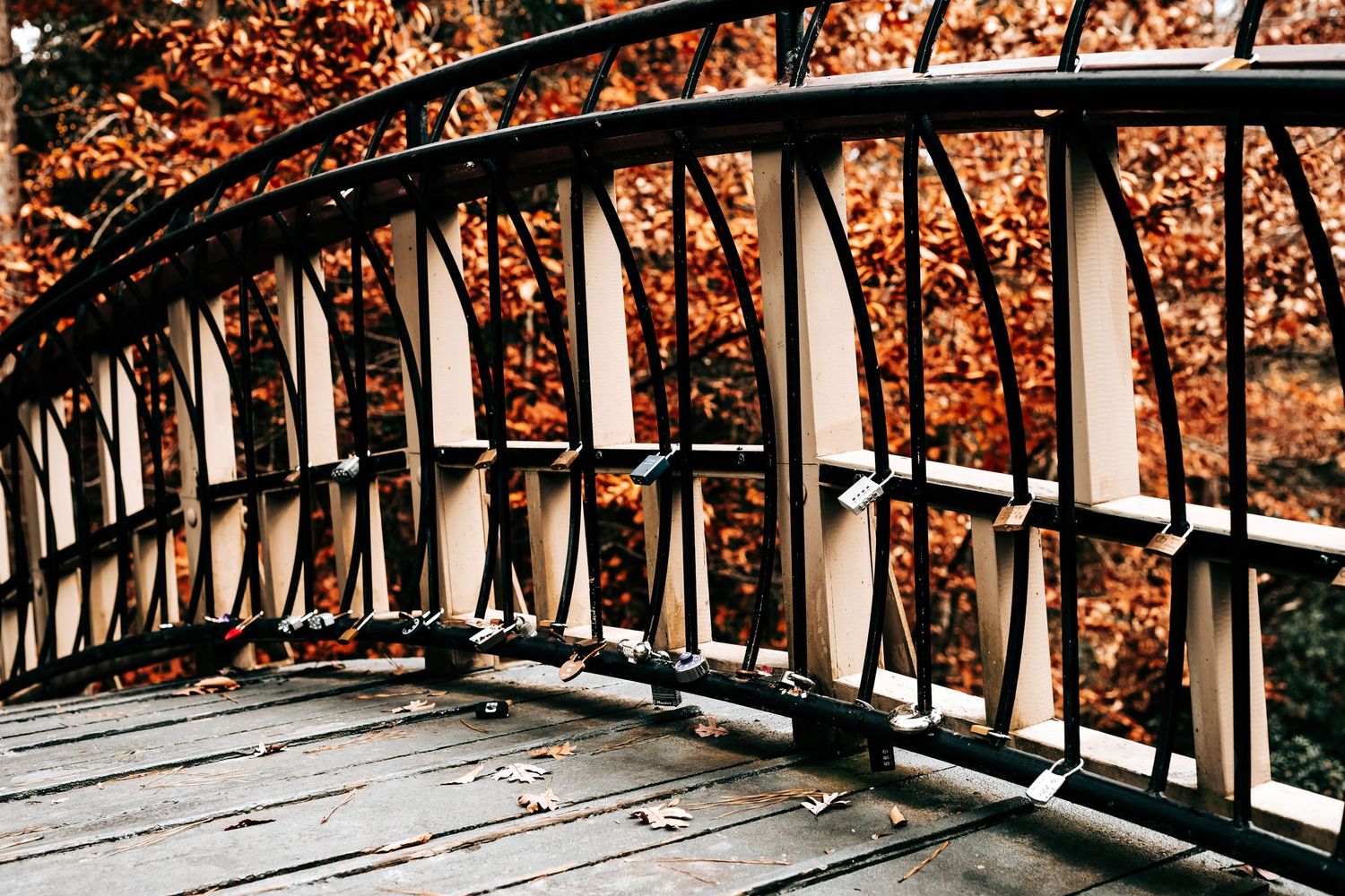 A curved wooden bridge railing against a backdrop of autumn trees with orange and red foliage.