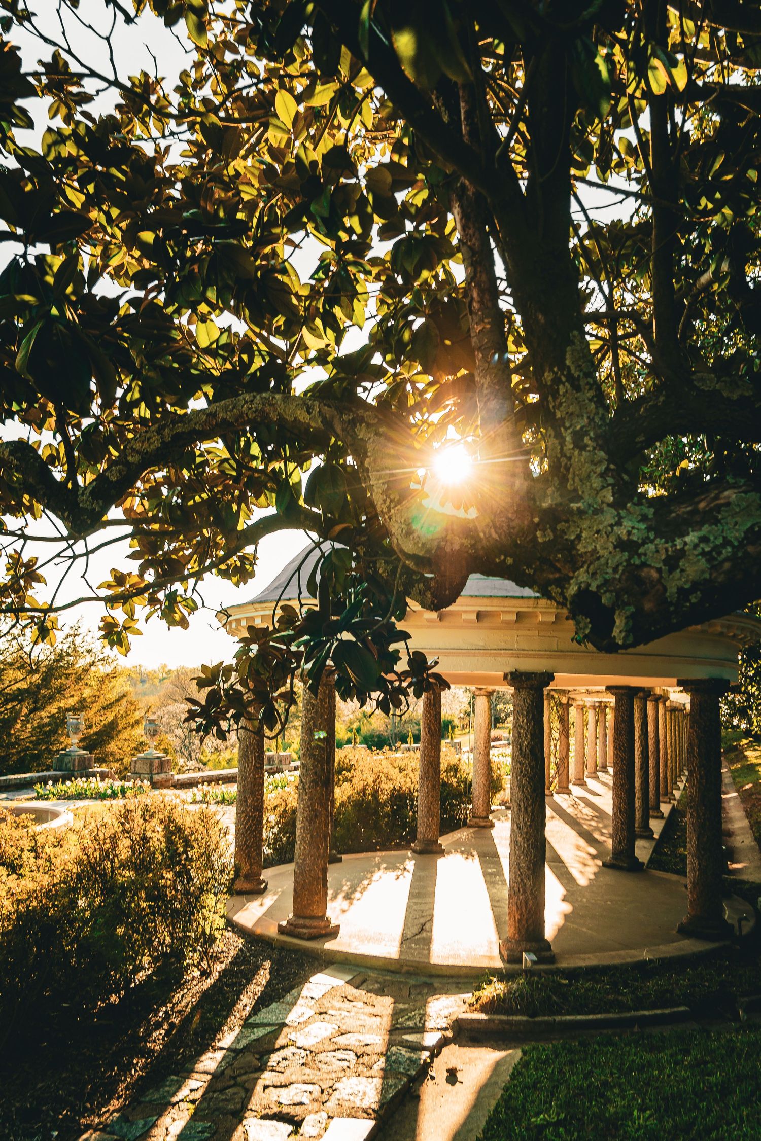 Sunlight streams through trees onto a classical stone colonnade walkway in a garden during golden hour.