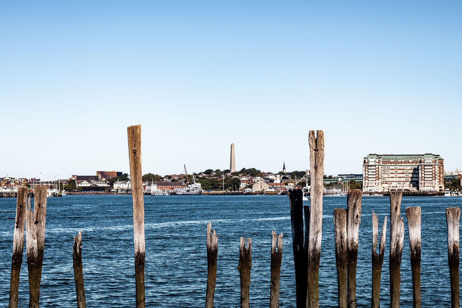 Weathered wooden pilings stand in calm blue water with coastal buildings visible along the shoreline in the distance.