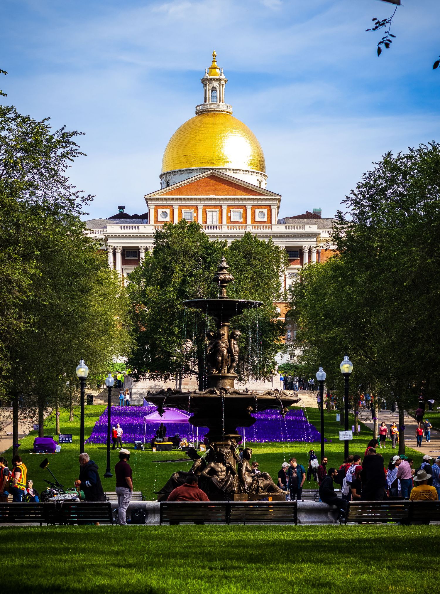 Massachusetts State House golden dome rises above Boston Common park with purple tents and visitors enjoying the lawn.