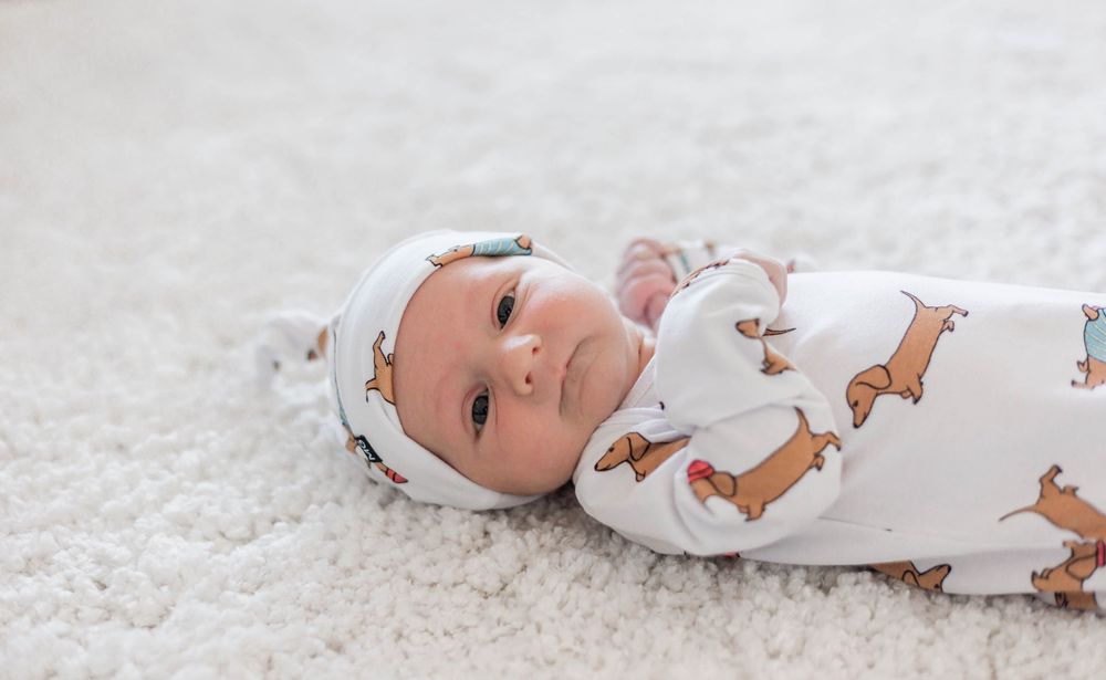Newborn baby in dachshund print swaddle and hat lying on white fluffy carpet.