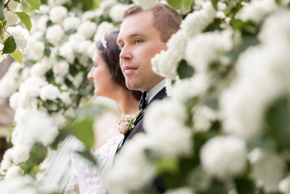The Willow Weddings