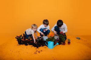 Mini session