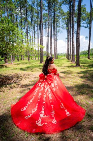 A stunning red ball gown with white lace details photographed from behind in a scenic pine forest setting.