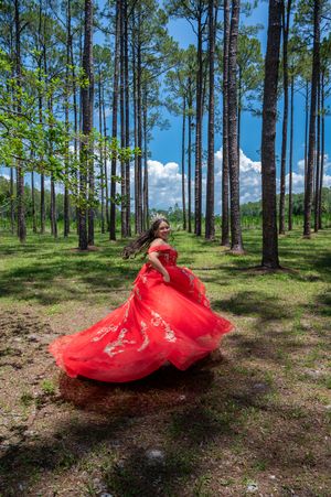 Figure in flowing red gown twirls gracefully through a sunlit pine forest creating dynamic movement across four frames.