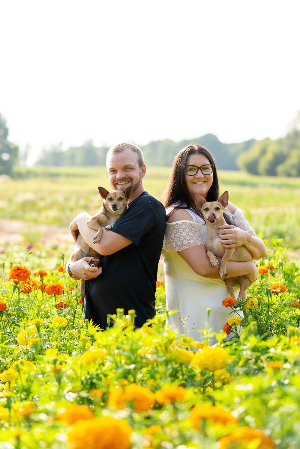 Happy couple holds their two chihuahuas while standing in colorful wildflower field at Flower Lady and Gent.