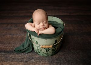 NH Newborn Photographer New Hampshire Newborn Photographer NH Photographer newborn in bucket prop in studio