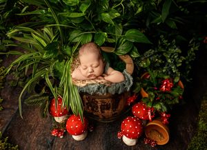 Newborn posed in a woodland set with mushrooms and greenery during a themed newborn session in Tilton NH