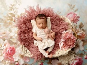 NH Newborn Photographer New Hampshire Newborn Photographer NH Photographer newborn iflowers in studio