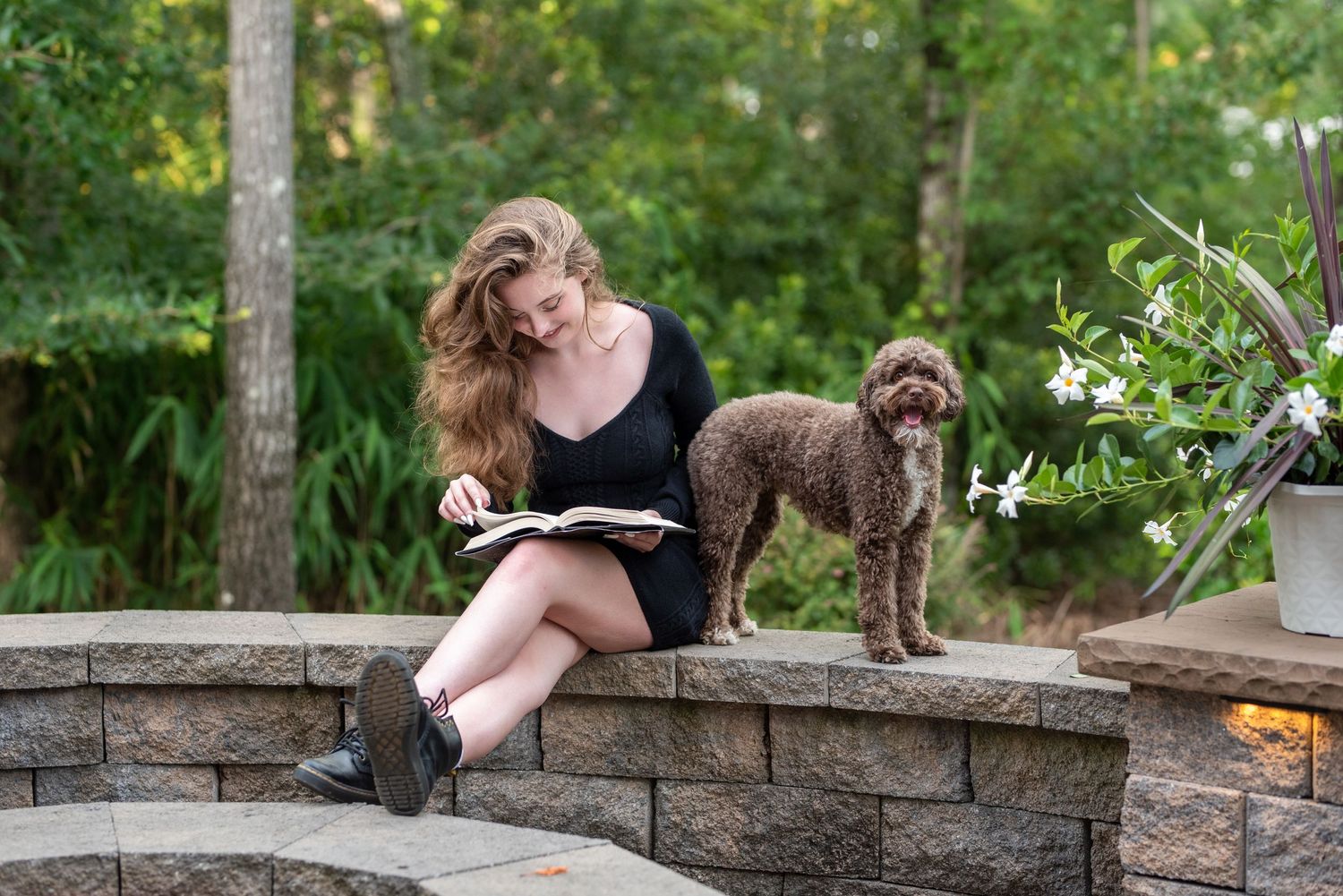 Person reading book outdoors on stone wall with brown poodle dog.