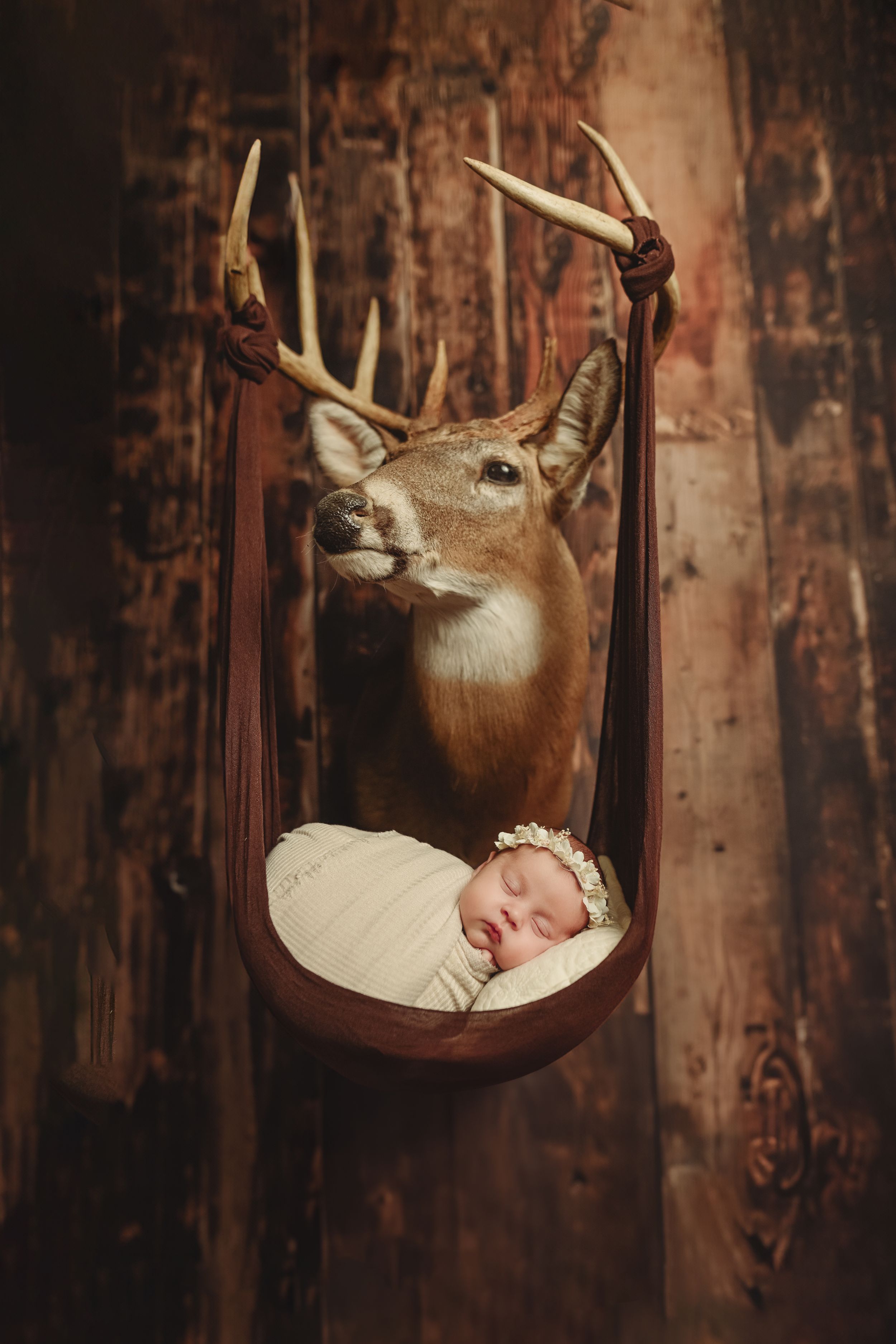 Rustic newborn photography setup with mounted deer head and dark wood background.