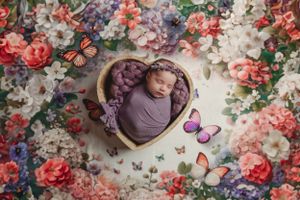 Floral themed newborn photography setup with colorful roses and butterfly decorations.