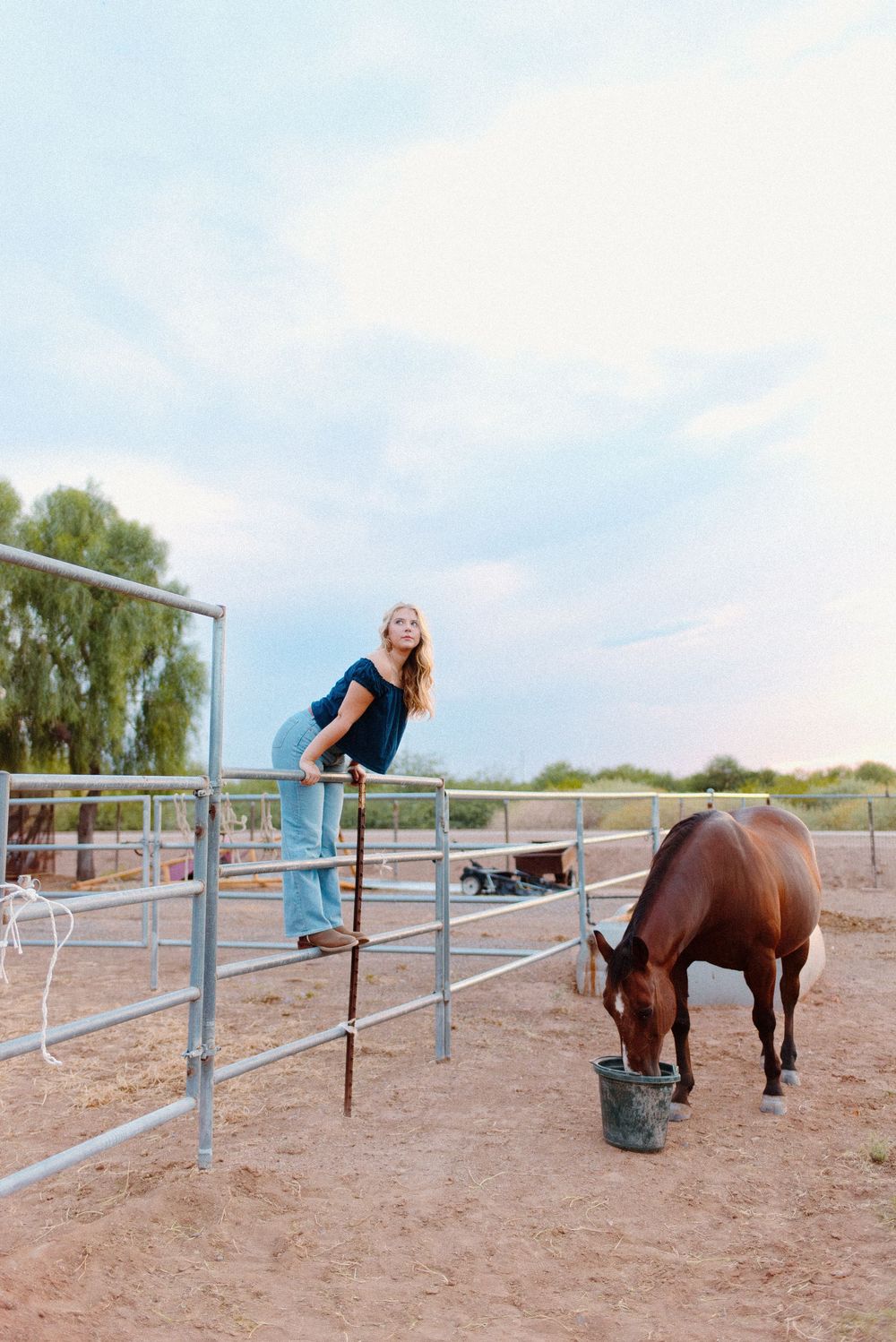 Photo of a high school senior at her senior photos in Gilbert, Arizona at a stunning pasture location with the horses.