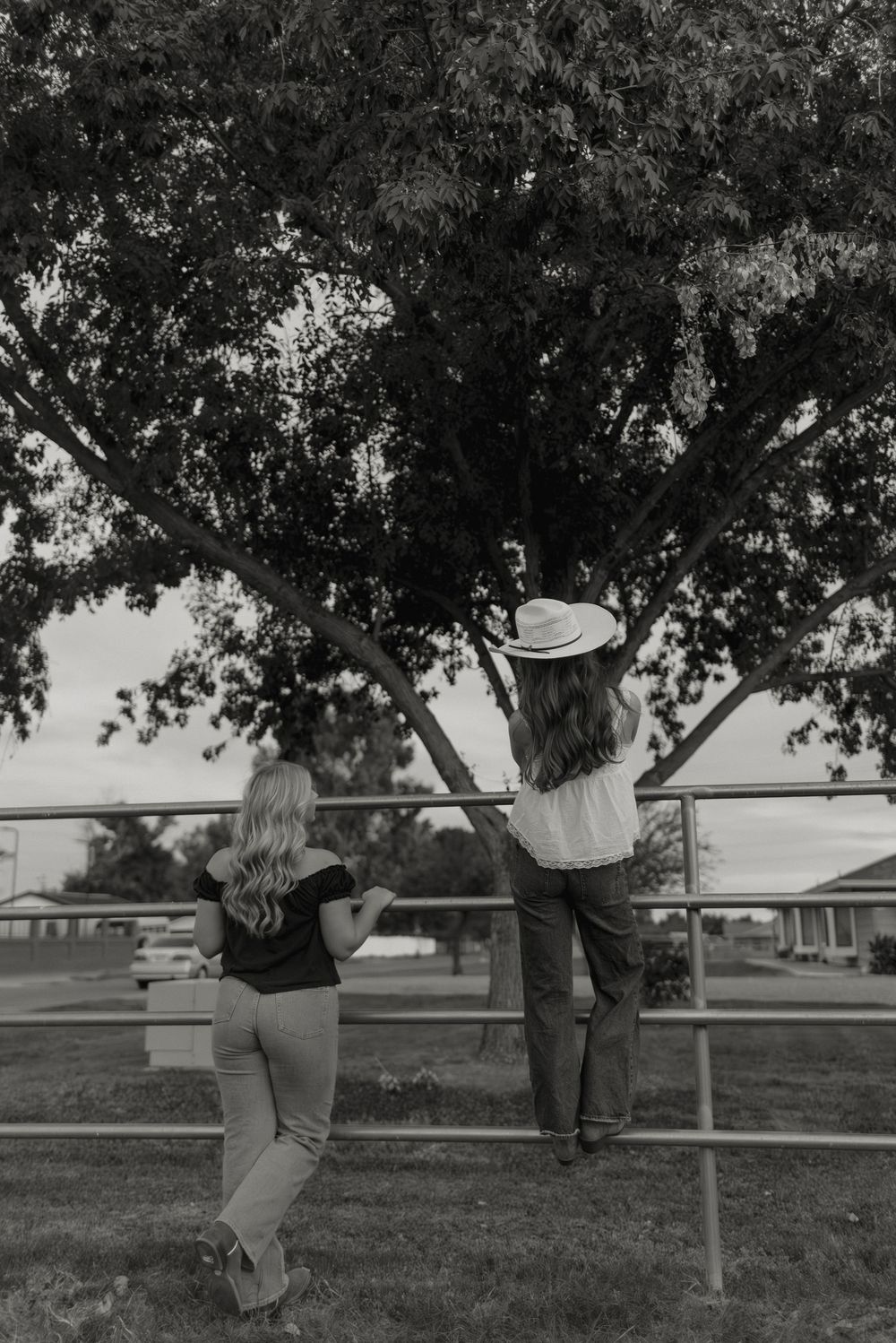 A photo of two high school seniors in a pasture in Gilbert, Arizona for their senior photos.