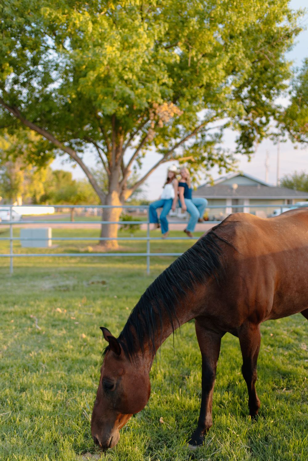 Photo of two high school seniors at their shared western senior photoshoot in Gilbert, Arizona with horses.