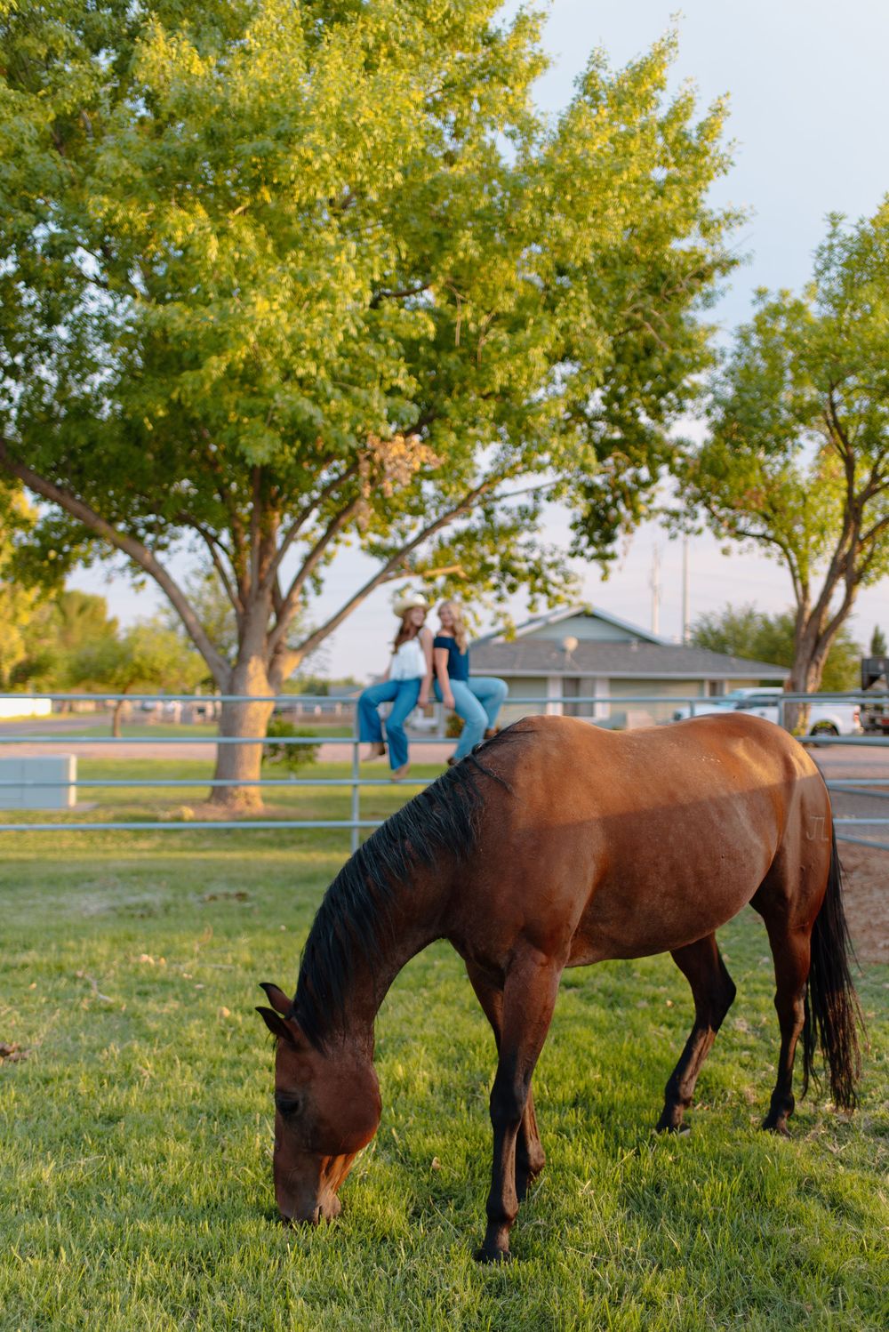 Photo of two high school seniors at their shared western senior photoshoot in Gilbert, Arizona with horses.
