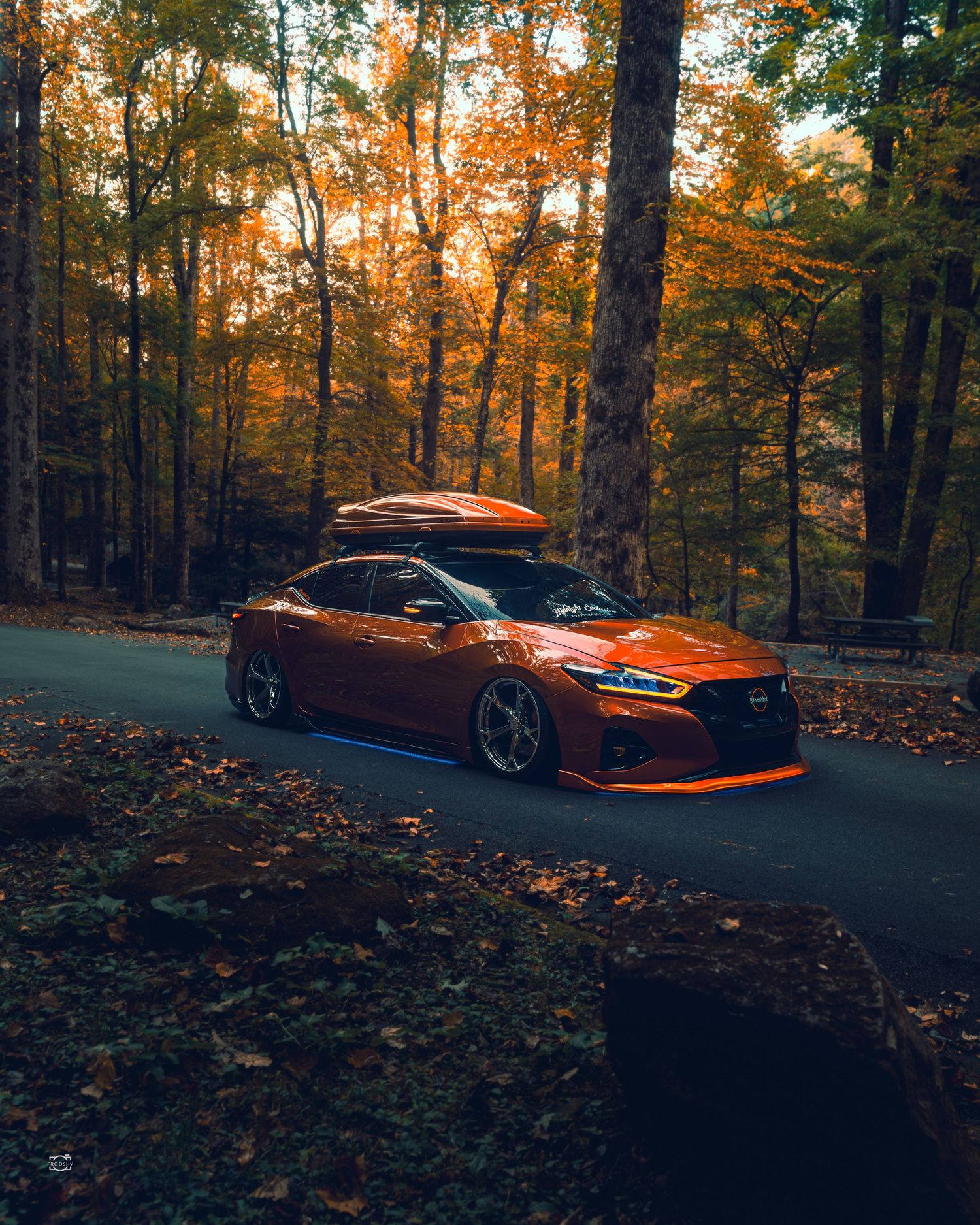 Orange sports car parked on winding forest road surrounded by autumn foliage.
