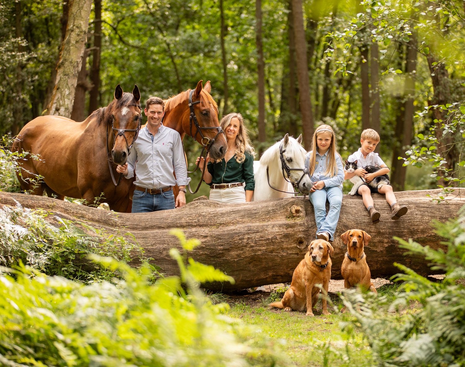 A group poses with horses along a tree-lined path during a sunny autumn day for outdoor photos.