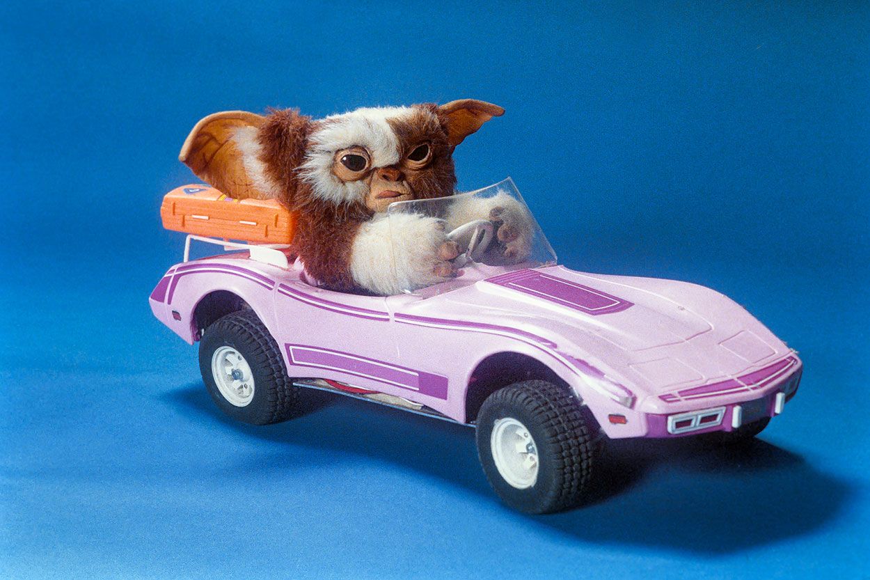 Gizmo and his Corvette