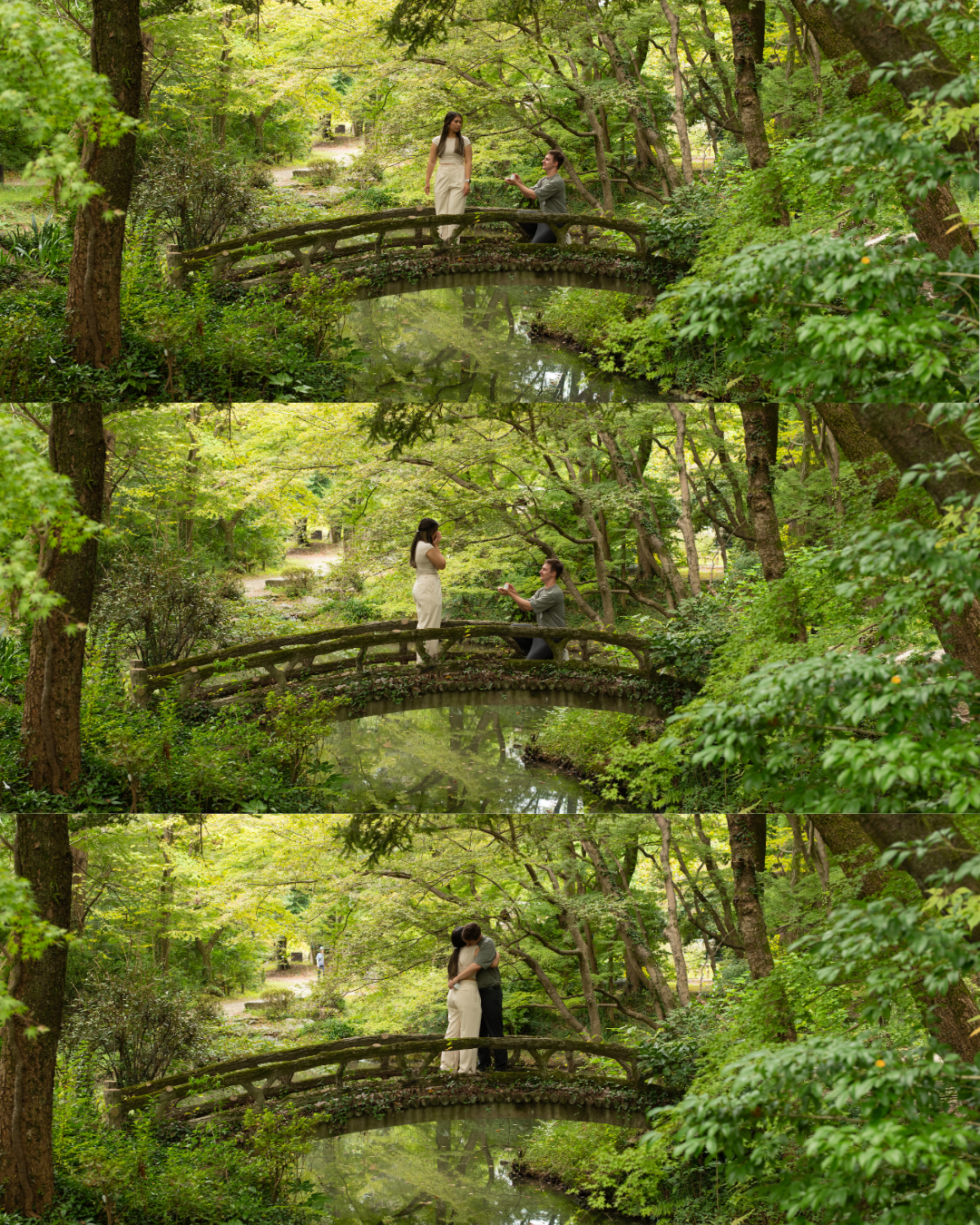 Triptych of a marriage proposal on a wooden arched bridge surrounded by lush greenery.