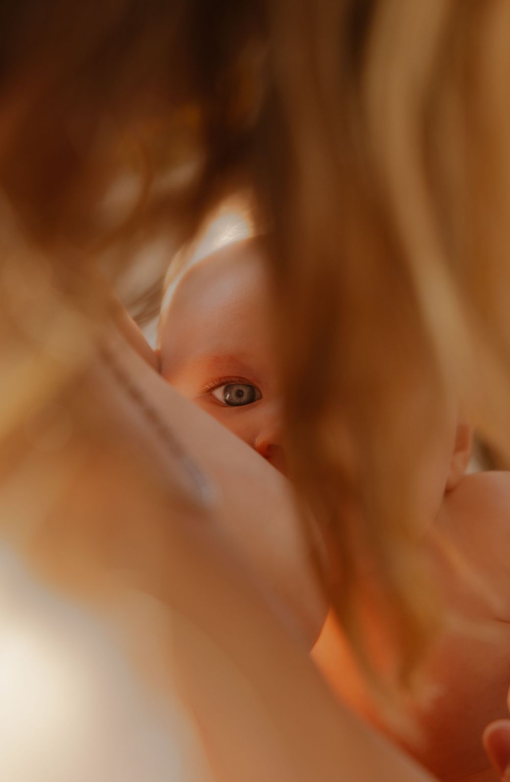 Abstract macro photograph shows warm brown and orange tones with soft blurred edges creating a dreamy atmosphere.