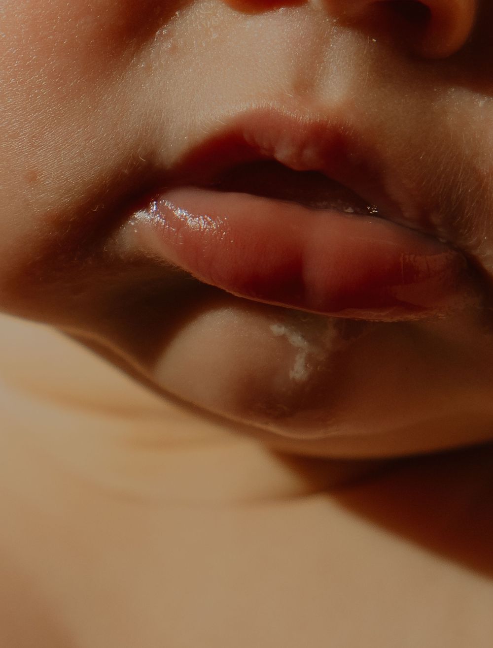 Close-up macro photo showing a series of blurred brown and beige abstract shapes in soft focus.