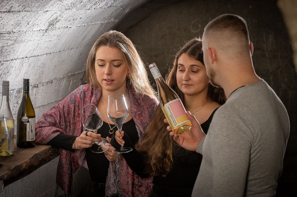 vinařství roku JT bank víno fotografie michal schneider foto photo photography akce brand  cena wine ceník hotel  chatka winebar znojmo