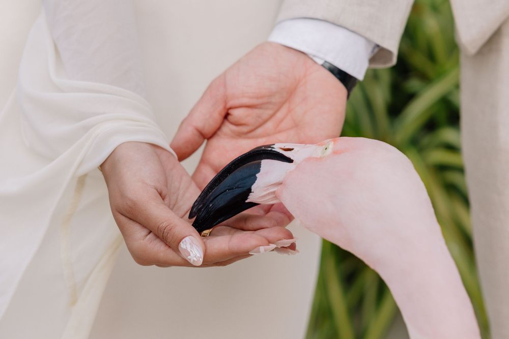 Bride and groom holding a black and white feather together during an outdoor wedding ceremony.
