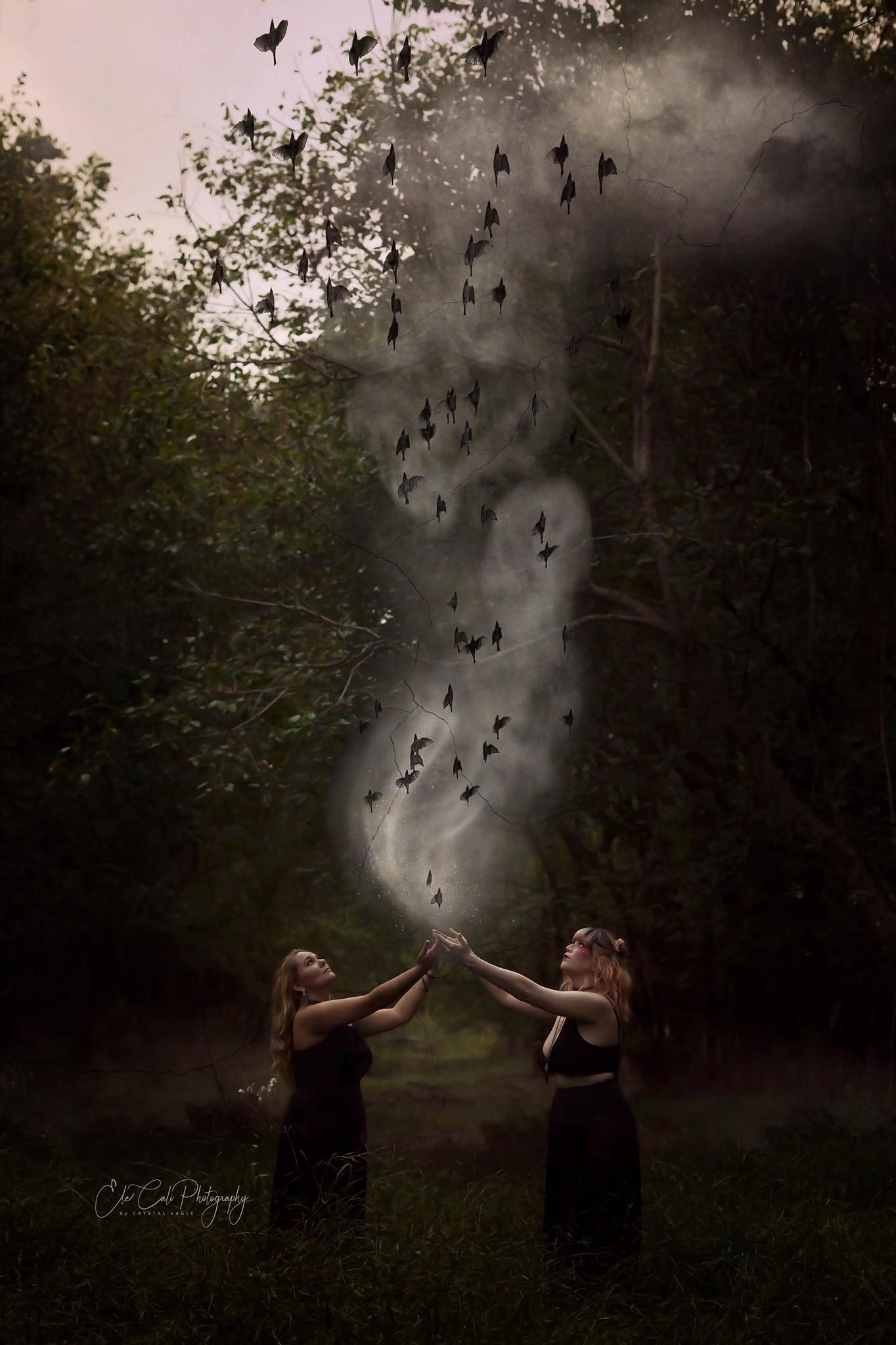 Artistic photography sequence with black butterflies and smoke effects in a forest setting.