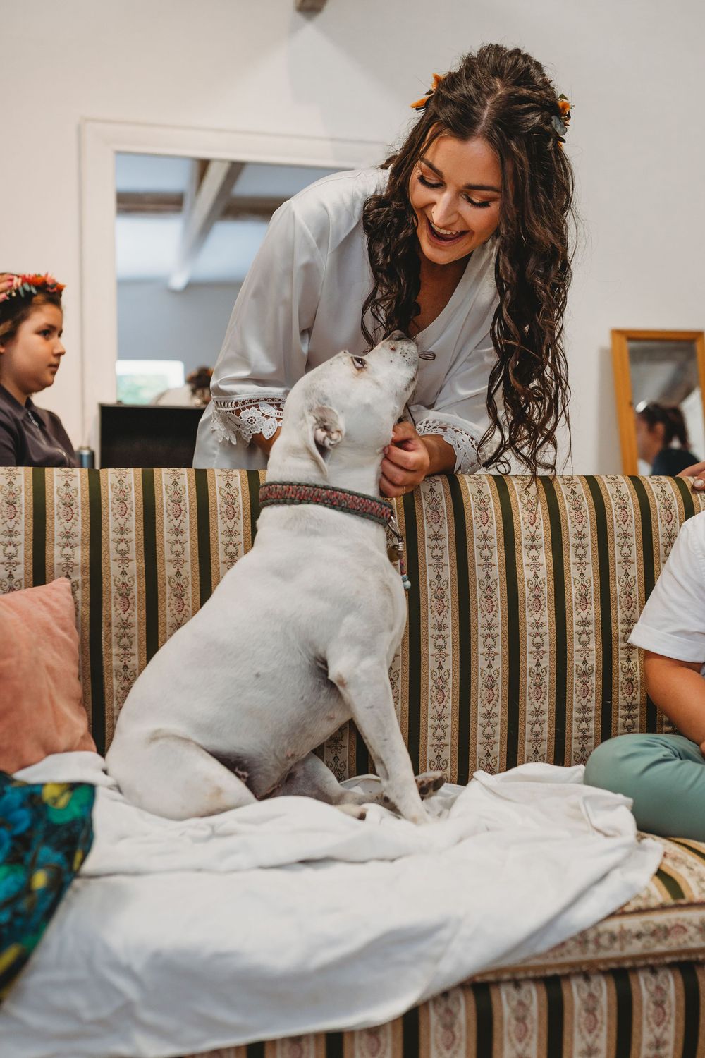 Playful white pit bull interacting with someone on a striped sofa.