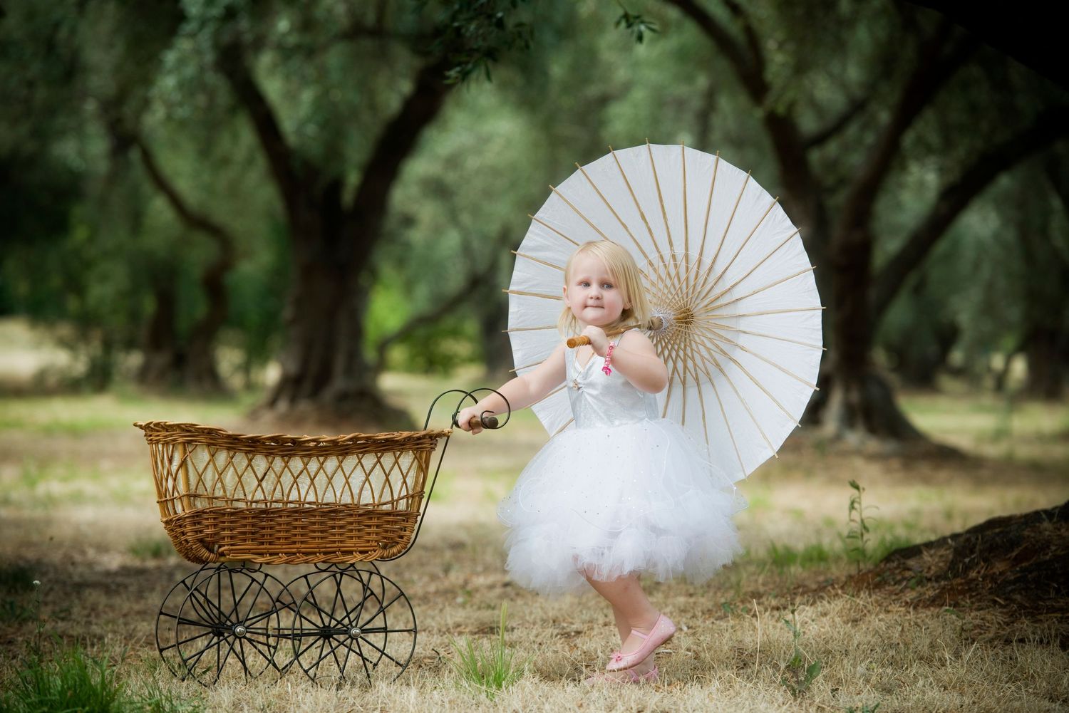 A series of vintage-style baby photos with an antique carriage and white parasol in a dreamy outdoor garden setting.