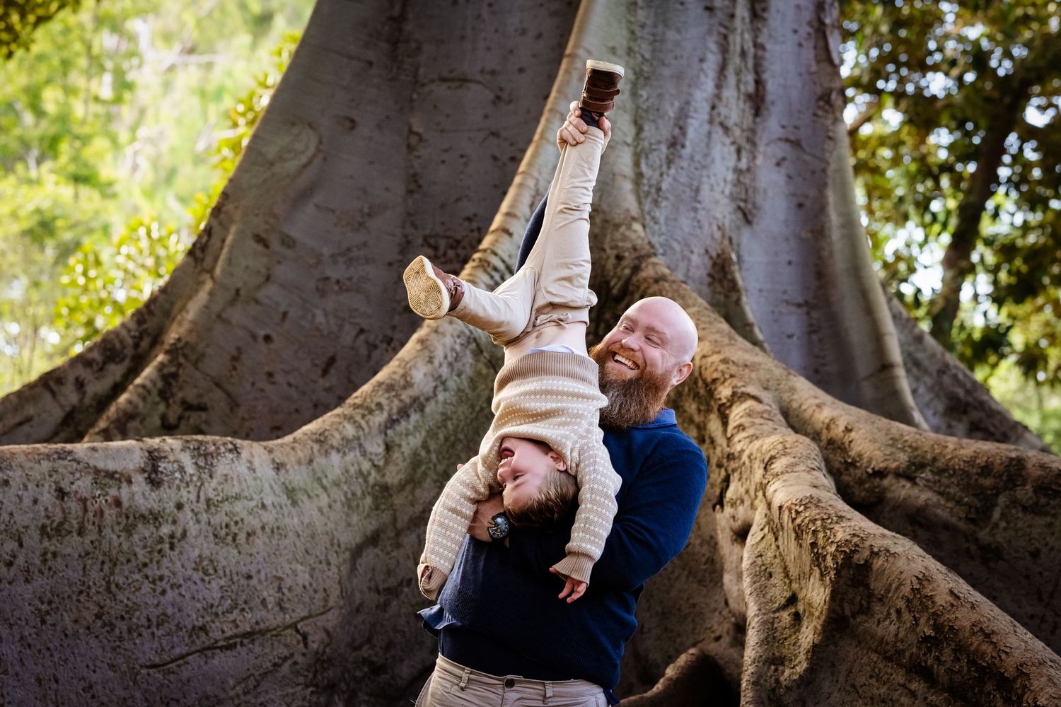 Bald father playfully holds toddler upside down in front of massive tree roots outdoors.