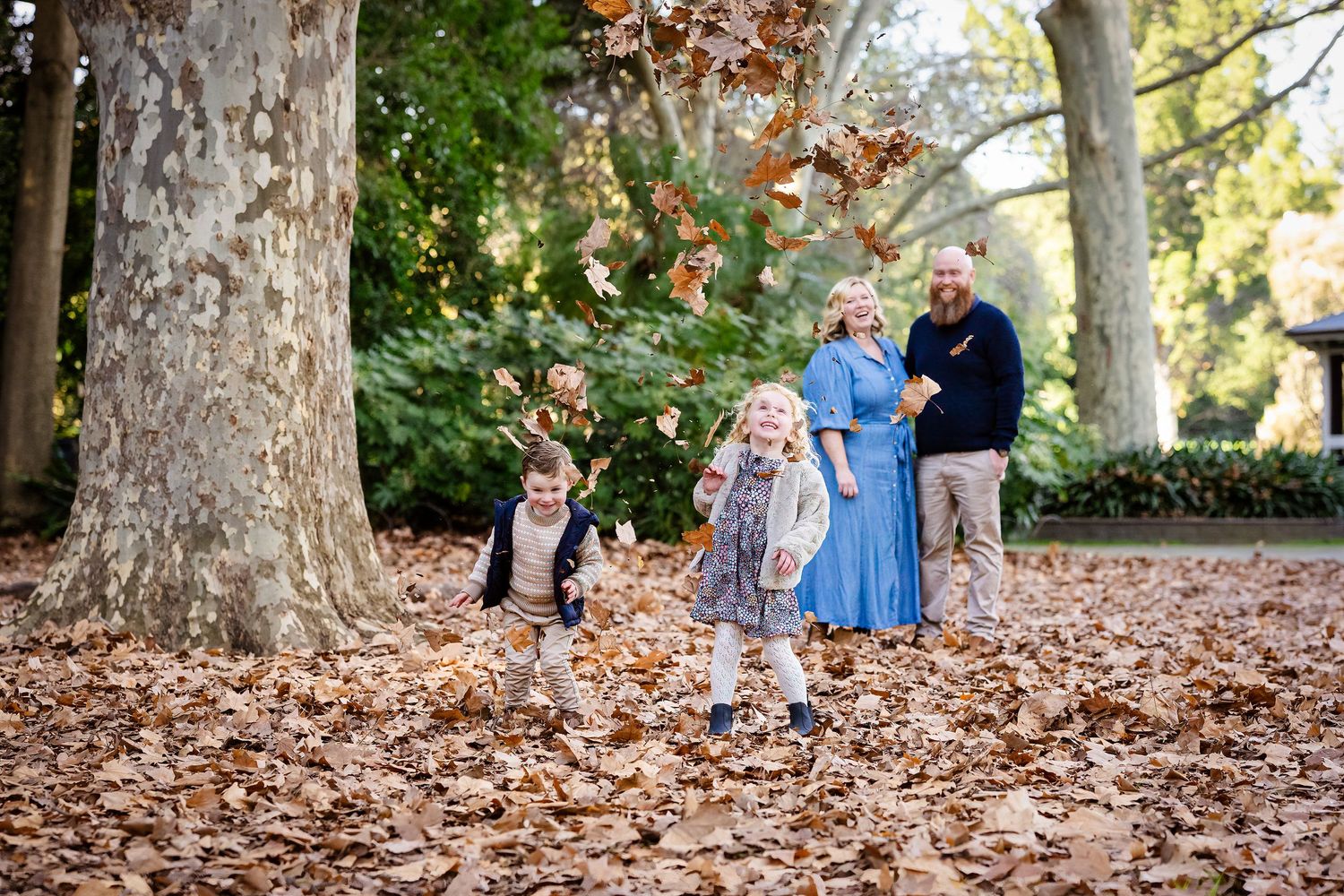 Family playing in autumn leaves under large trees, children running and laughing in a golden fall park setting.