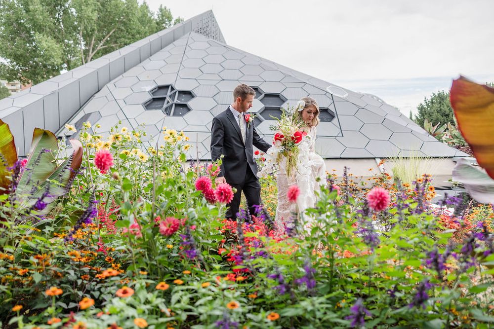 Colorful garden flowers bloom in front of a greenhouse structure with vibrant pink and purple blossoms in the foreground.